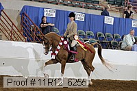11r12_6255 proof