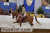 11r12_6257 proof