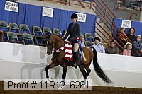 11r12_6261 proof