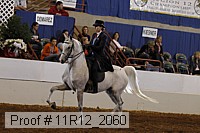 11r12_2060 proof