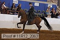 11r12_2063 proof