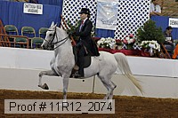 11r12_2074 proof