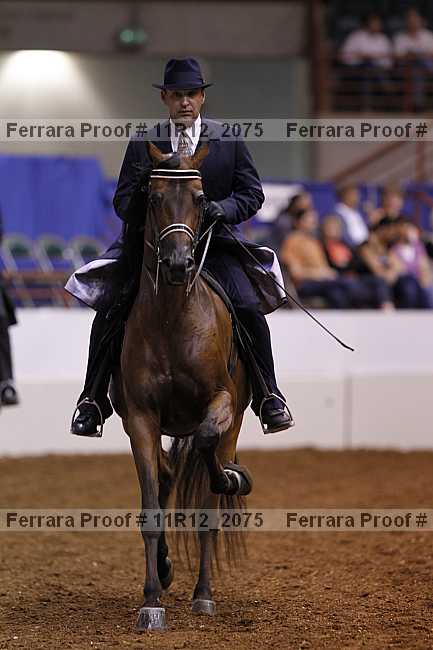Proof 11r12_2075