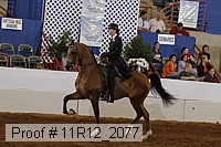 11r12_2077 proof