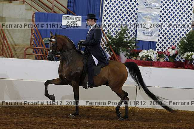 Proof 11r12_2080