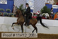 11r12_2081 proof