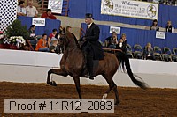 11r12_2083 proof
