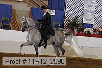 11r12_2090 proof