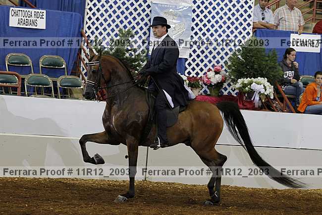 Proof 11r12_2093