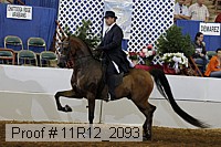 11r12_2093 proof