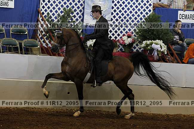 Proof 11r12_2095