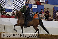 11r12_2098 proof