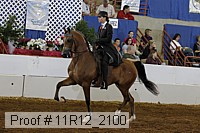 11r12_2100 proof