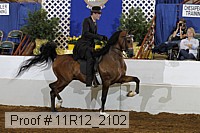 11r12_2102 proof