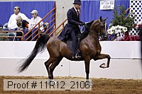 11r12_2106 proof
