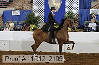 11r12_2109 proof