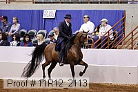 11r12_2113 proof