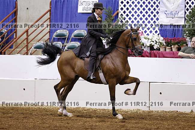 Proof 11r12_2116
