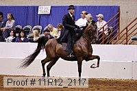 11r12_2117 proof