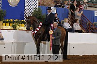 11r12_2121 proof