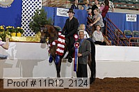 11r12_2124 proof