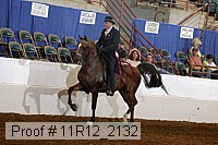 11r12_2132 proof
