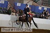 11r12_2142 proof