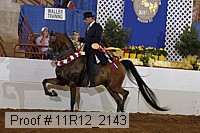 11r12_2143 proof