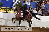 11r12_2147 proof
