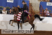 11r12_2149 proof