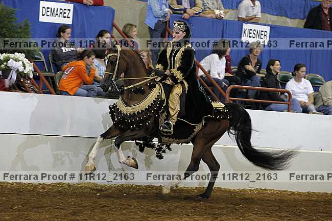 Proof 11r12_2163