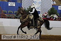 11r12_2172 proof