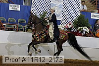 11r12_2173 proof