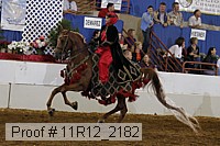11r12_2182 proof