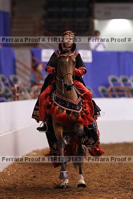 Proof 11r12_2183