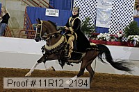 11r12_2194 proof