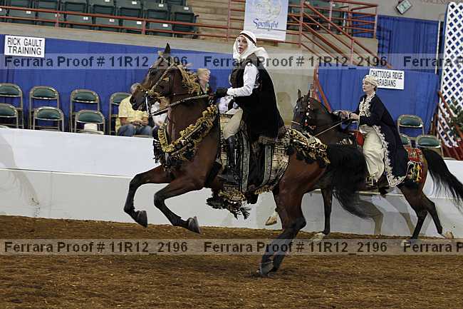 Proof 11r12_2196