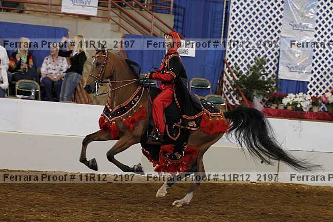Proof 11r12_2197