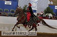 11r12_2202 proof