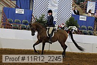 11r12_2245 proof