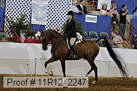 11r12_2247 proof