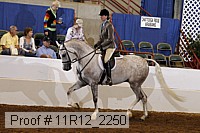 11r12_2250 proof