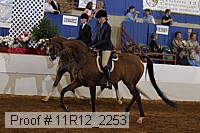 11r12_2253 proof