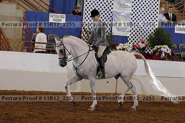 Proof 11r12_2255
