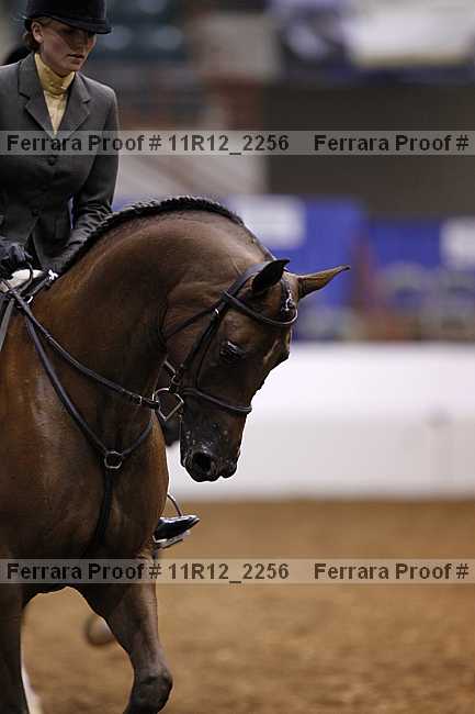 Proof 11r12_2256