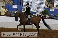 11r12_2261 proof