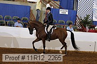 11r12_2265 proof