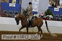11r12_2267 proof
