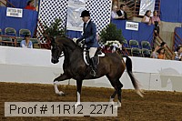 11r12_2271 proof