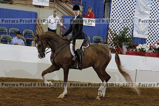 Proof 11r12_2273